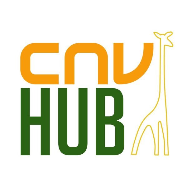 O que é o Curso Comunidade Transformação pela CNV