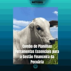 Combo de Planilhas - Ferramentas Poderosas do Casal da Pecuária É confiável