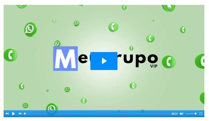 Como funciona a Ferramenta Meu Grupo VIP e seus planos