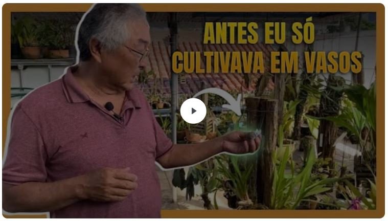 o que é Os 12 segredos do cultivo de orquideas