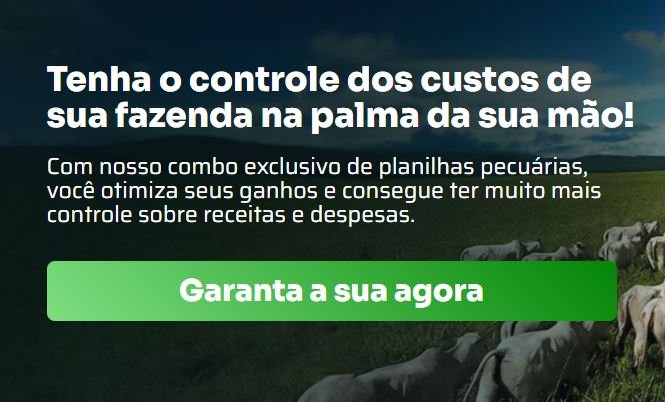 O que é o Combo de Planilhas - Ferramentas Poderosas do Casal da Pecuária