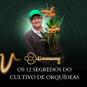 Os 12 segredos do cultivo de orquídeas É confiável É bom Vale a pena Funciona