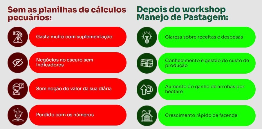 Quais benefícios do Combo de Planilhas - Ferramentas Poderosas do Casal da Pecuária
