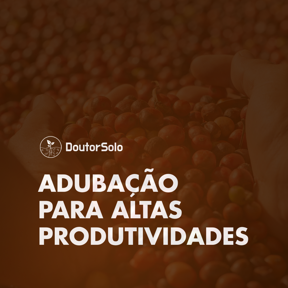 Adubação para Altas Produtividades Café É confiável É bom Vale a pena Funciona